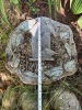 Decorative Birdhouse Garden Stepping "Stone" - 2
