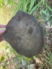Decorative Birdhouse Garden Stepping "Stone" - 3