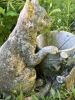 Adorable Cat and Watering Can Garden Statuary with Welcome Sign - 2