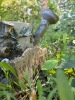 Adorable Cat and Watering Can Garden Statuary with Welcome Sign - 3
