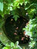 Large Heavy Concrete Bird Bath with Patina - 5