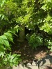 Large Heavy Concrete Bird Bath with Patina - 6