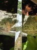 Large Heavy Concrete Bird Bath with Patina - 7