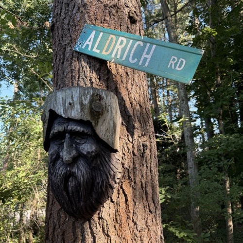 Wood Spirit Carving in Rustic Style and Street Sign