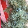 Artificial Holiday Wreath with Red Bow and Lights - 2