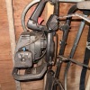 Shed Lot: Trimmers, Mower and Other Tools - 9