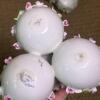 Porcelain Floral Egg Cups - 3