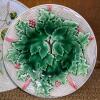 Set Of Beautiful Floral Porcelain Plates - 3