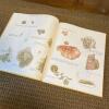 1984 Janet Marsh's Nature Diary Hardcover Book - 6