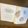 1984 Janet Marsh's Nature Diary Hardcover Book - 7