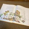 1984 Janet Marsh's Nature Diary Hardcover Book - 9