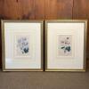Pair of Framed Botanical Prints