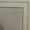 Pair of Framed Botanical Prints - 2