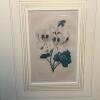 Pair of Framed Botanical Prints - 4