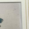 Pair of Framed Botanical Prints - 5