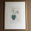 Framed Botanical Prints