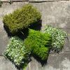 Assorted Artificial Grass and Floral Mats For Crafts!