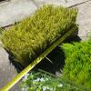 Assorted Artificial Grass and Floral Mats For Crafts! - 4