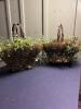 Rustic Grapevine Baskets with Faux Greenery