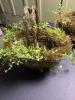 Rustic Grapevine Baskets with Faux Greenery - 2