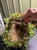 Rustic Grapevine Baskets with Faux Greenery - 3