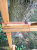 Wooden Folding Dryer and Peg Rack (In 2 pieces - 6