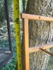 Wooden Folding Dryer and Peg Rack (In 2 pieces - 8