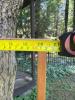 Wooden Folding Dryer and Peg Rack (In 2 pieces - 9