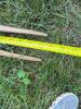 Primitive Wooden Hay Forks and Feed Scoop - 6