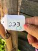 Primitive Wooden Hay Forks and Feed Scoop - 7