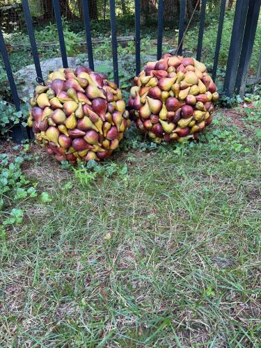 Pair of Fig Motif Decorative Spheres