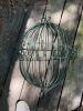Wrought Iron Garden Wall Planters With Scroll Detail - 4