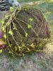 Willow Ball Sphere on Antique Wirework Basket - 4