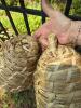 Pair of Handwoven Straw Skep-Style Basket Covers - 3