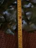 Set of 4 Artificial Leaf Table Runners with Fabric Backing - 5