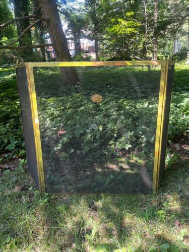 Brass and Mesh Fireplace Screen with Decorative Medallion