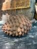 Pinecone Shaped Decorative Element