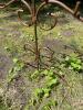 Metal Scrollwork Display Stand with Curved Hooks - 3