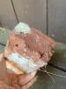 Hand Painted Decorative Brick With Building Facade Art - 4