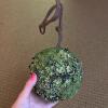 Six Decorative Faux Moss Hanging Balls - 2