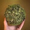 Six Decorative Faux Moss Hanging Balls - 3