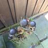 Decorative Faux Tree Tealight Candle Holder with Bird - 4