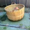 Large Wooden Farm Basket with Leather Handles - 3