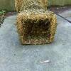 Decorative Faux Moss Plant Pedestal - 3