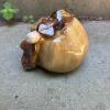Glazed Ceramic Decorative Acorn - 2