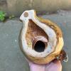 Glazed Ceramic Decorative Acorn - 4