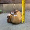 Glazed Ceramic Decorative Acorn - 5