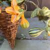 Three Wicker Wall Baskets With Faux Gourd and Leaf Arrangements - 4