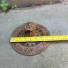 Hen-Feathers Cast Iron Decorative Vent Cover - 4