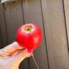 Small Bag of Red Artificial Apples with Stems - 3